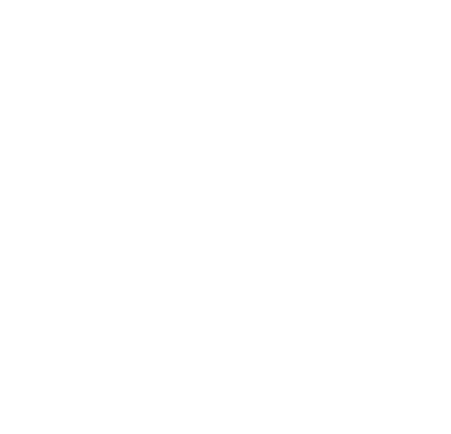 BMW Group